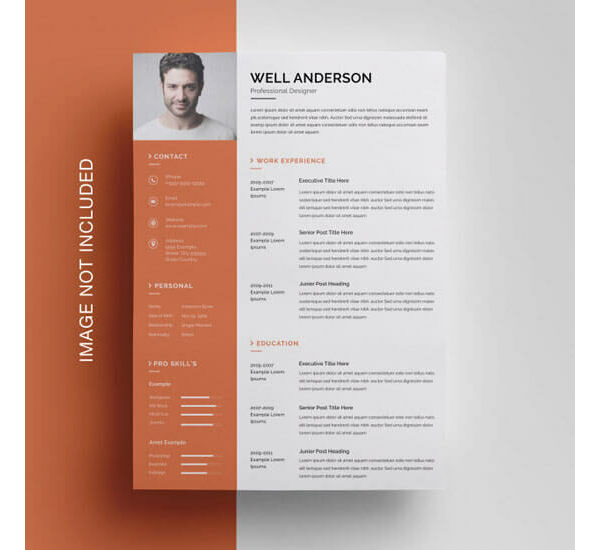 CV Examples for Architecture Job 11